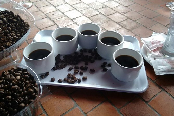 Day Tour in North of Gran Canaria With Wine Tasting - Canarian Cuisine and Coffee