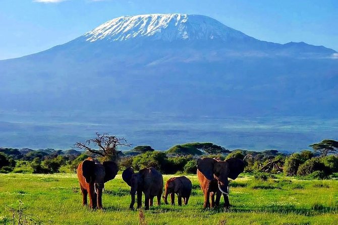 Day Tour Nairobi National Park - Tour Schedule and Pricing