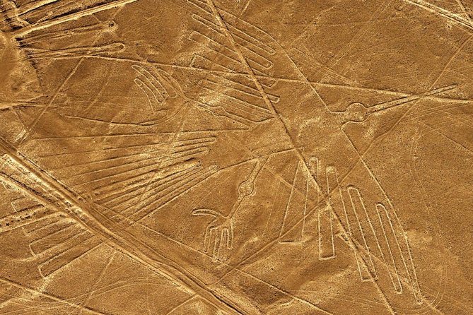 Day Tour Nazca Lines From Lima - Highlights of the Nazca Lines