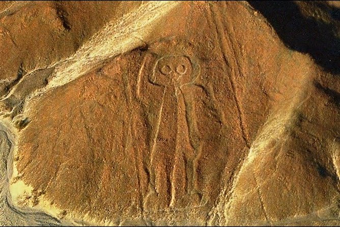 Day Tour Nazca Lines From Lima - Customer Feedback and Experiences