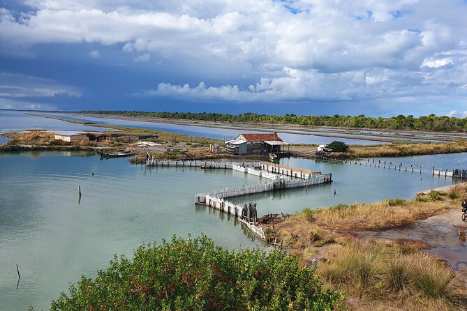 Day Tour of Berat and Karavasta Lagoon From Tirana&Durres - Inclusions