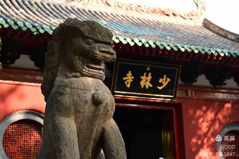 Day Tour of Luoyang Shaolin Temple and Longmen Grottoes - Highlights