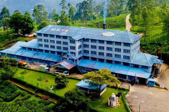 Day Tour of Nuwara Eliya - Navigating Transportation