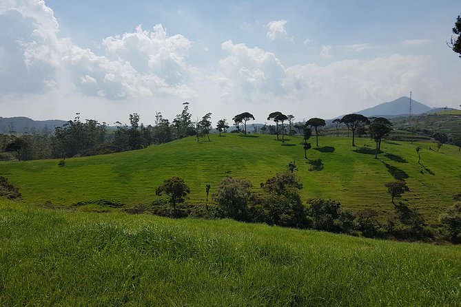 Day Tour of Nuwara Eliya - Reflections and Recommendations