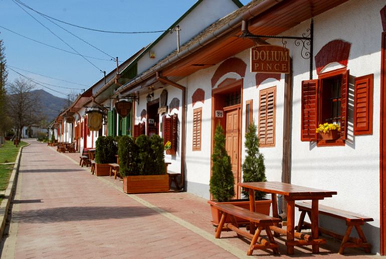 Day Tour of Pécs and Siklós With Villány Wine Tasting - Key Points