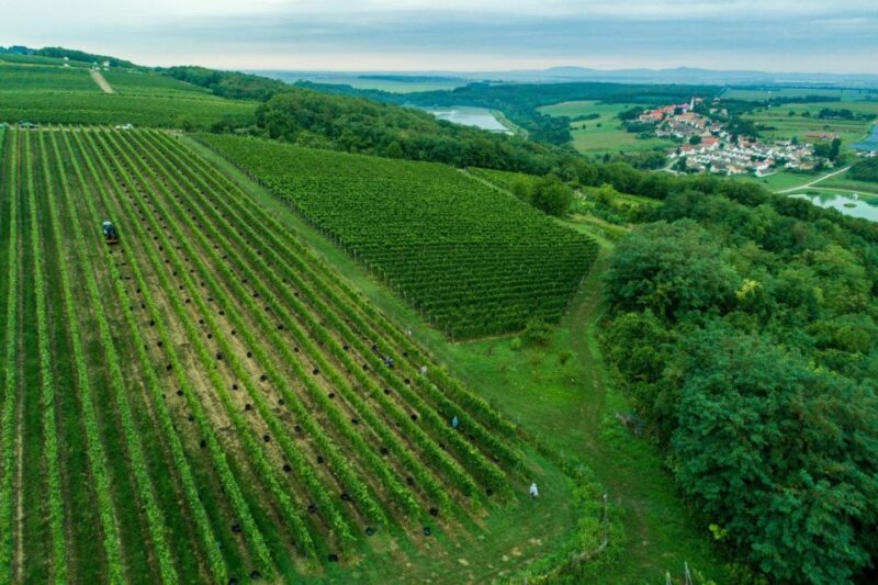 Day Tour of Pécs and Siklós With Villány Wine Tasting - Siklós Castle Visit