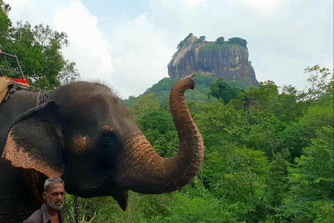Day Tour of Sigiriya - Additional Information