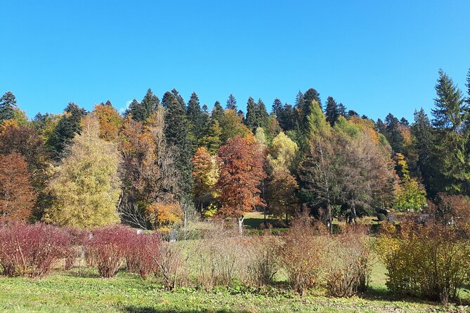Day Tour Peles Castle - Caraiman Monastery From Brasov - Peles and Pelisor Castles