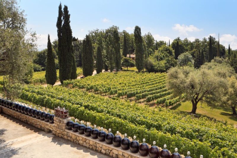 Day Tour Perfumery and Wine - Grasse: Perfume Capital