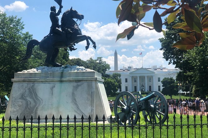 Day Tour: Private Luxury Tour of Washington DC - Accessibility and Participation