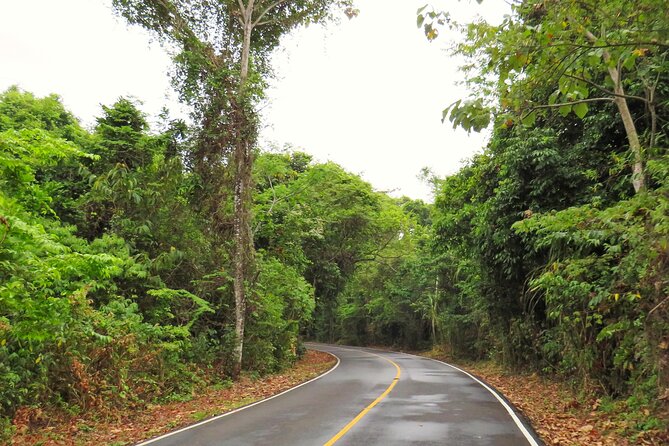 Day Tour: Rainforest, San Lorenzo Fort and The Panama Canal - Inclusions and Pickup Information