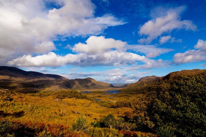 Day Tour Ring of Kerry - Company Profile
