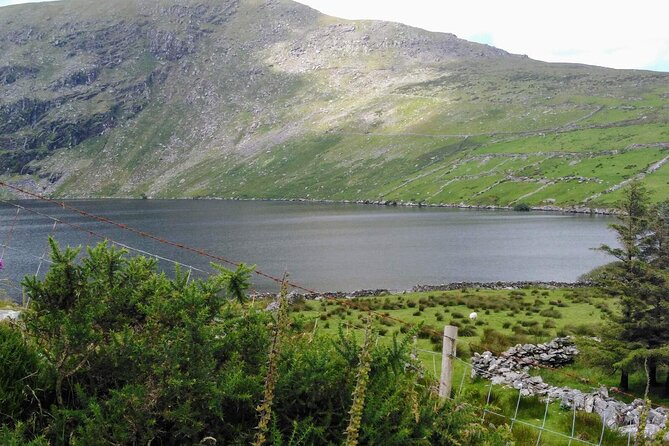 Day Tour Ring of Kerry - Booking Information