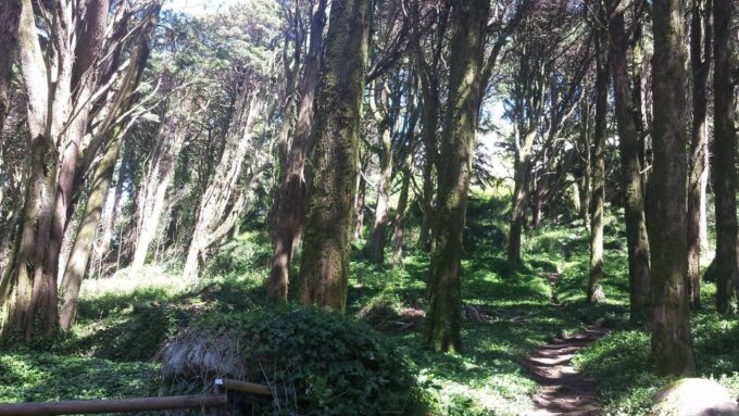 Day-Tour: Sintra Region and Cascais - Westerly Point Visit