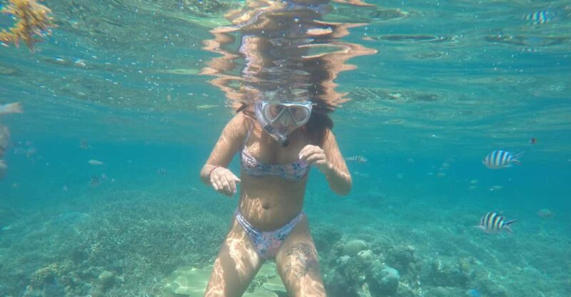 Day Tour Snorkeling Trip Gili Layar/Gili Gede&Gili Rengit - Itinerary and Activities