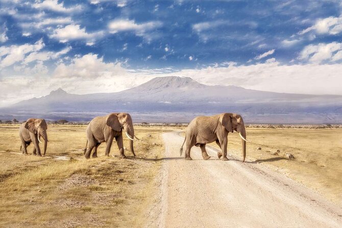 Day Tour to Amboseli National Park - Key Points