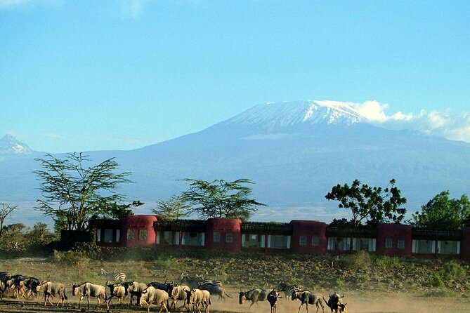 Day Tour to Amboseli National Park - Amboseli National Park