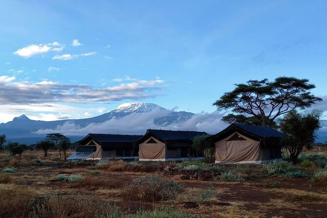 Day Tour to Amboseli National Park From Nairobi - Customer Reviews and Ratings