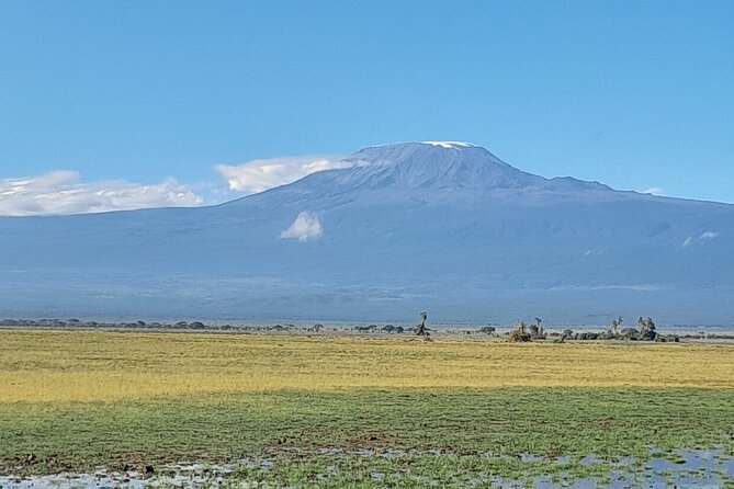 Day Tour To Amboseli National Park From Nairobi - Booking Information