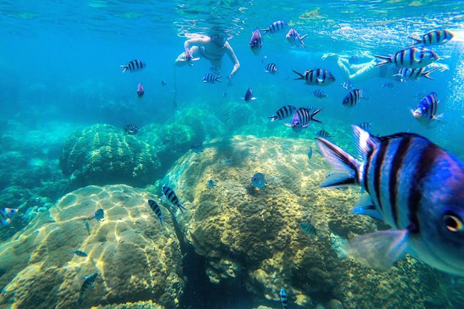 Day Tour to Angthong Marine Park by Insea Speedboat From Koh Samui - Notable Experiences