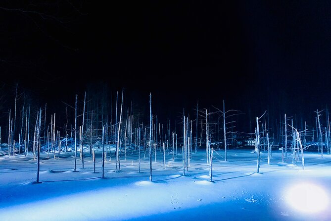 Day Tour to Asahiyama Zoo Biei Blue Pond Furano by Private Car - Health and Accessibility