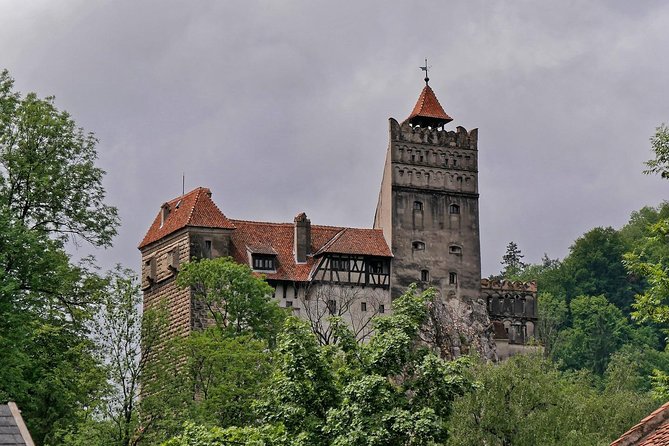 Day Tour to Brasov and Bran - Inclusions