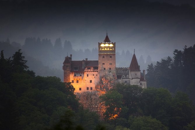 Day Tour to Brasov and Bran - Accessibility