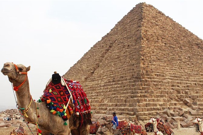 Day Tour To Cairo From Alexandria - Accessibility and Safety