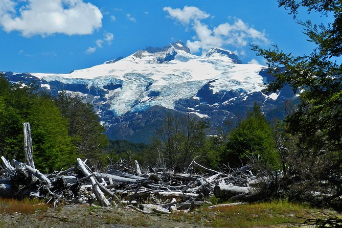 Day Tour to Cerro Tronador From Bariloche - Pickup and Accessibility