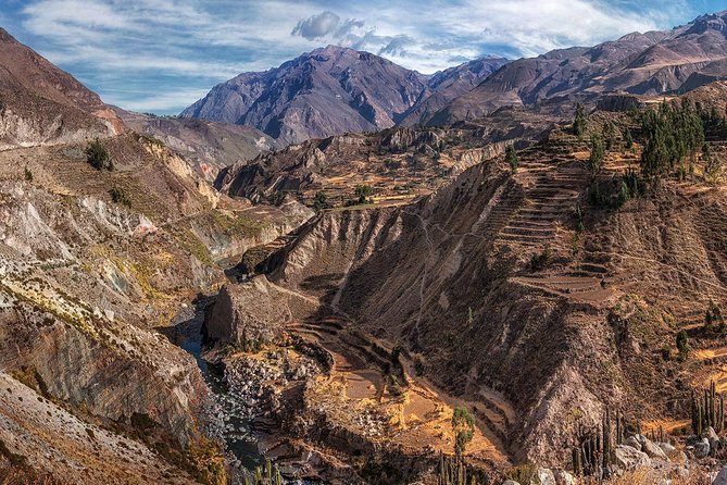 Day Tour to Colca Canyon From Arequipa - Exploring Colca Canyon