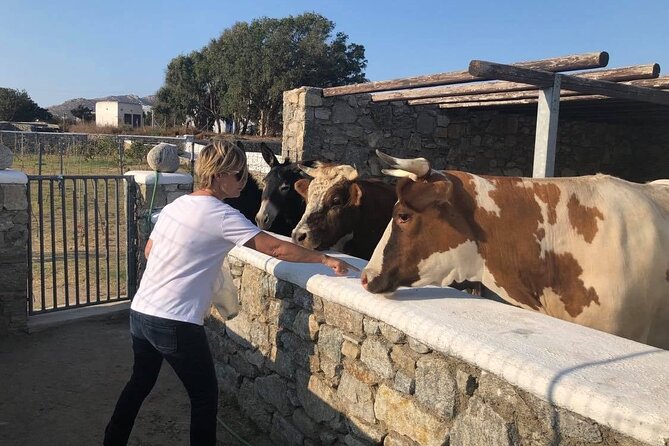 Day Tour to Cultural and Historic Highlights of Mykonos - Customer Reviews and Ratings