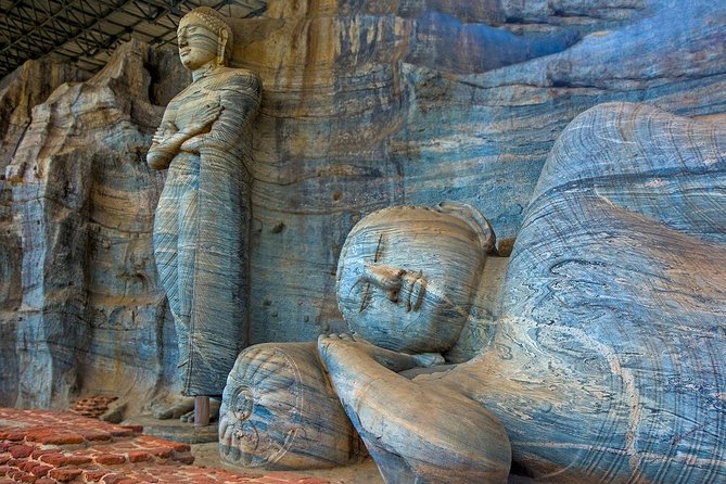 Day Tour to Dambulla And Polonnaruwa Ancient City From Colombo - Highlights of the Day Tour