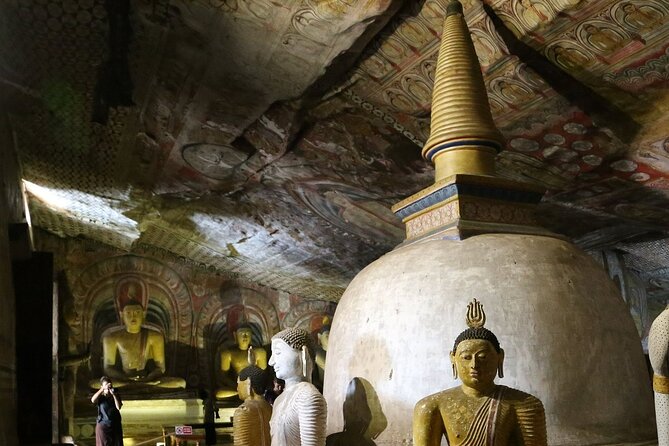 Day Tour to Dambulla And Polonnaruwa Ancient City From Colombo - Sum Up