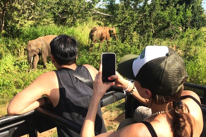 Day Tour to Dambulla, Sigiriya and Safari From Kandy (Group Tour) - Iconic Sites