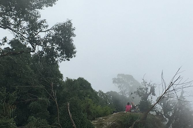 Day Tour to Dhampus With 4WD - Inclusions