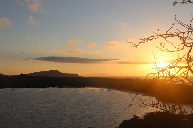 Day Tour to Floreana Island With Snorkeling and Fishing - Cormorant Point Highlights