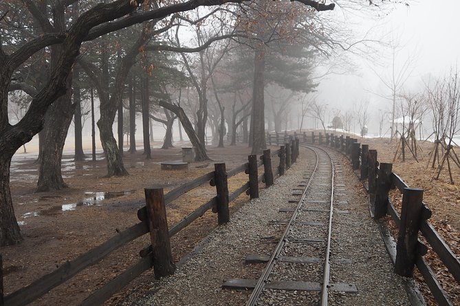 Day Tour to Gangchon Rail Bike Nami Island and Petite France - Cancellation Policy