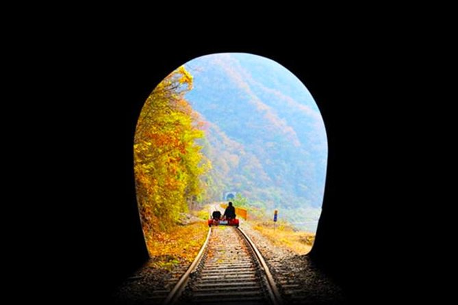 Day Tour to Gangchon Rail Bike Nami Island and Petite France - Traveler Reviews