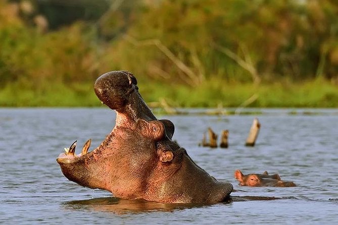 Day Tour to Hells Gate and Optional Boat Ride at Lake Naivasha - Exclusions