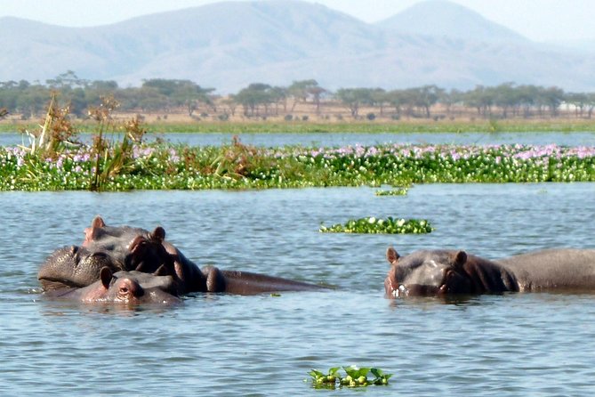 Day Tour to Hells Gate and Optional Boat Ride at Lake Naivasha - Logistics