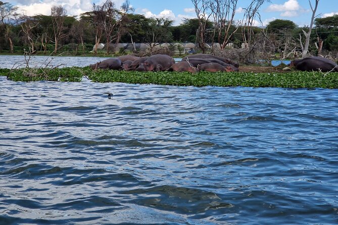 Day Tour To Hells Gate National Park and Optional Boat Ride on Lake Naivasha. - Accessibility and Requirements