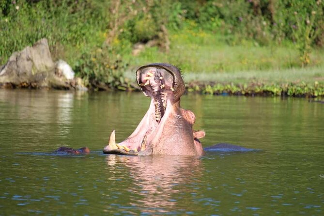 Day Tour To Hells Gate National Park and Optional Boat Ride on Lake Naivasha. - Tour Cancellation Policy