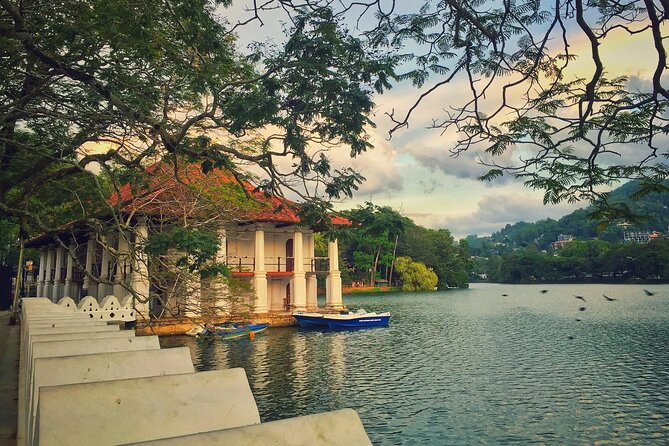 Day Tour to Kandy From Colombo - Pricing and Cancellation