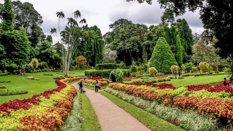 Day Tour To Kandy From Colombo - Booking and Availability