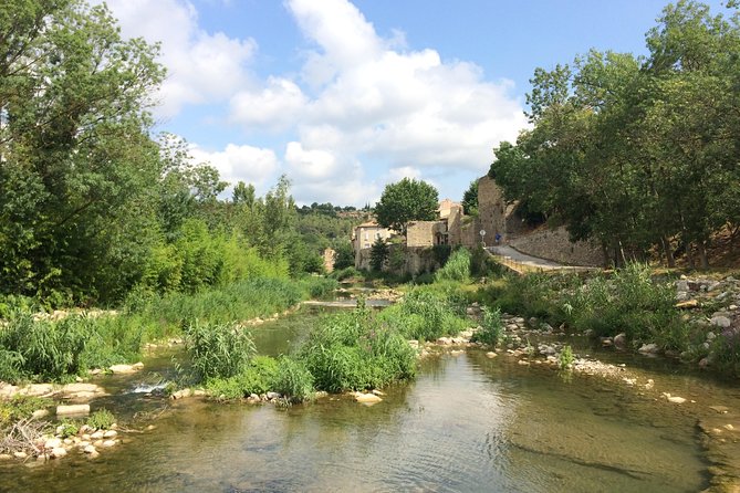 Day Tour to Lagrasse Village and Fontfroide Abbey.Private Tour From Carcassonne. - Cancellation Policy