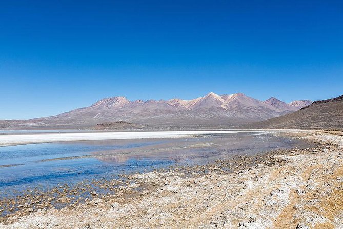 Day Tour to Laguna De Salinas - Key Points
