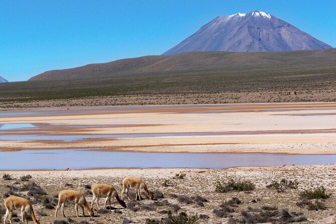 Day Tour to Laguna De Salinas - Participation Guidelines