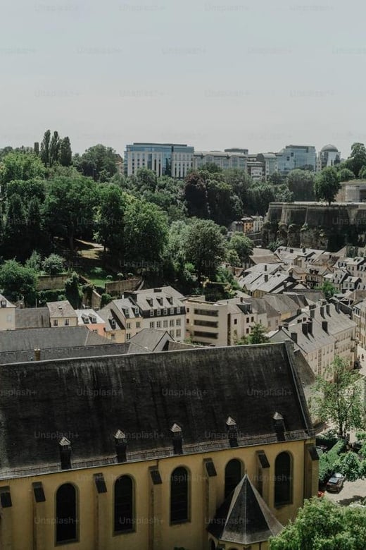 Day Tour to Luxembourg From Brussels - Private Group Experience