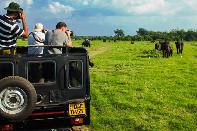 Day Tour to Minneriya National Park,Sigiriya & Dambulla From Kandy - Inclusions and Exclusions