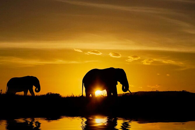 Day Tour to Minneriya National Park,Sigiriya & Dambulla From Kandy - Tour Suitability and Fitness